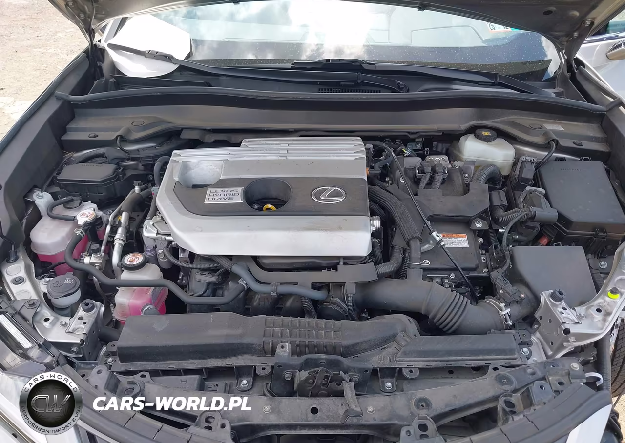 2020 Lexus Ux 250H VIN:JTHP9JBH2L2020142 - 10