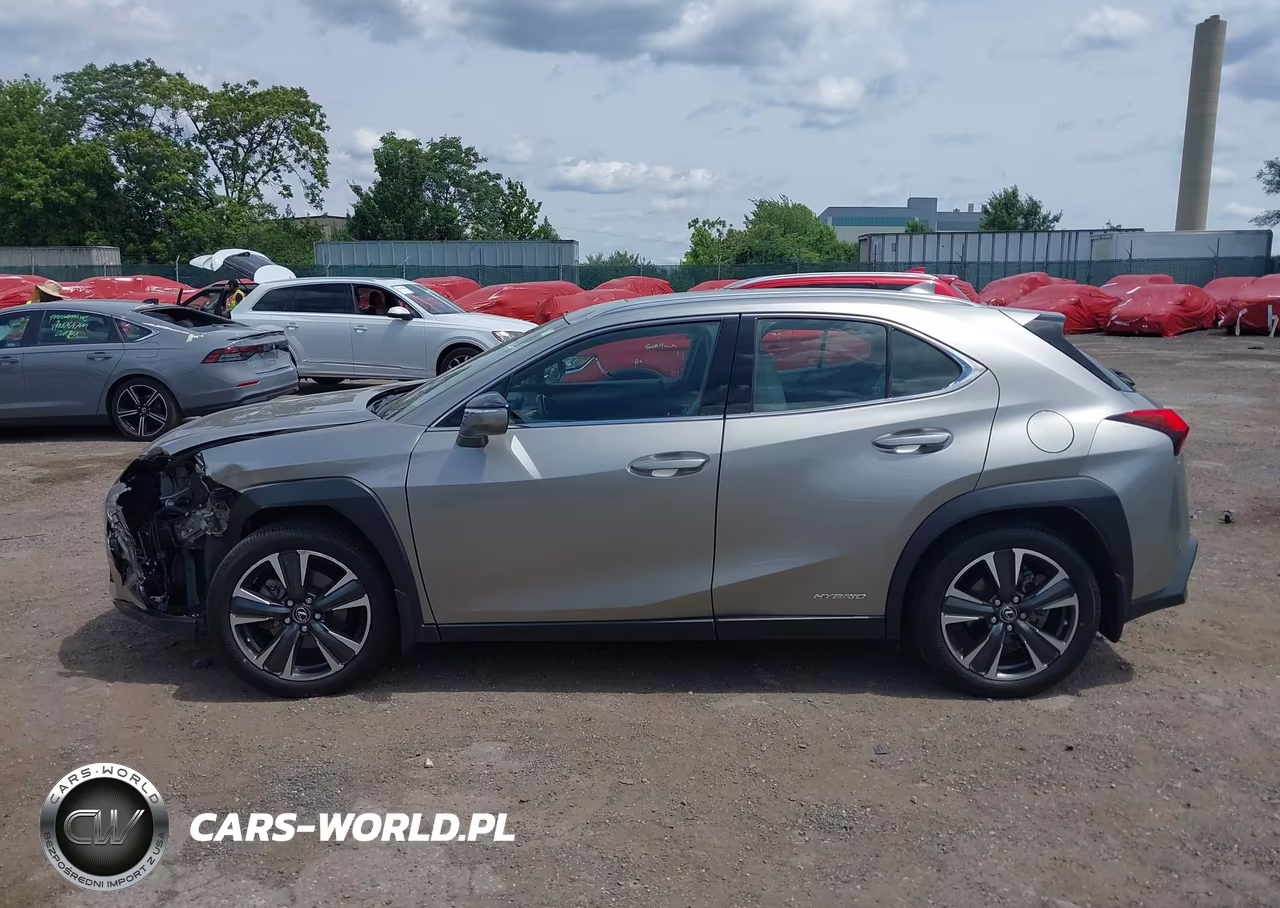 2020 Lexus Ux 250H VIN:JTHP9JBH2L2020142 - 13
