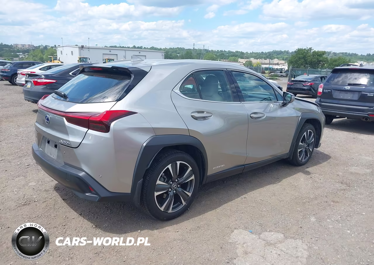 2020 Lexus Ux 250H VIN:JTHP9JBH2L2020142 - 4
