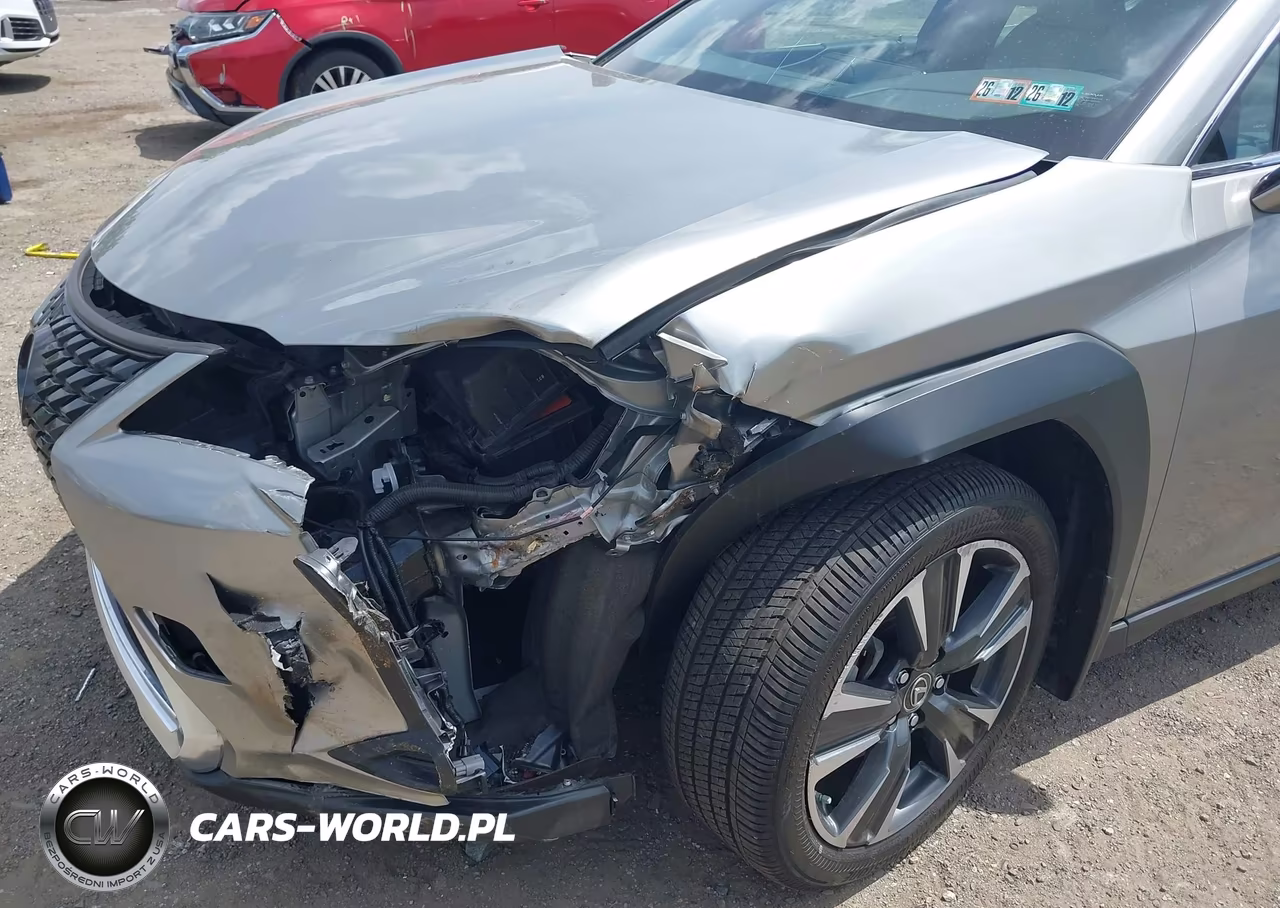2020 Lexus Ux 250H VIN:JTHP9JBH2L2020142 - 6
