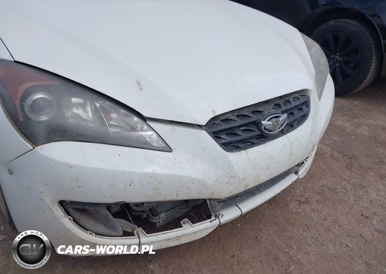 2010 Hyundai Genesis 2.0T Premium VIN:KMHHT6KD3AU018642 - 6