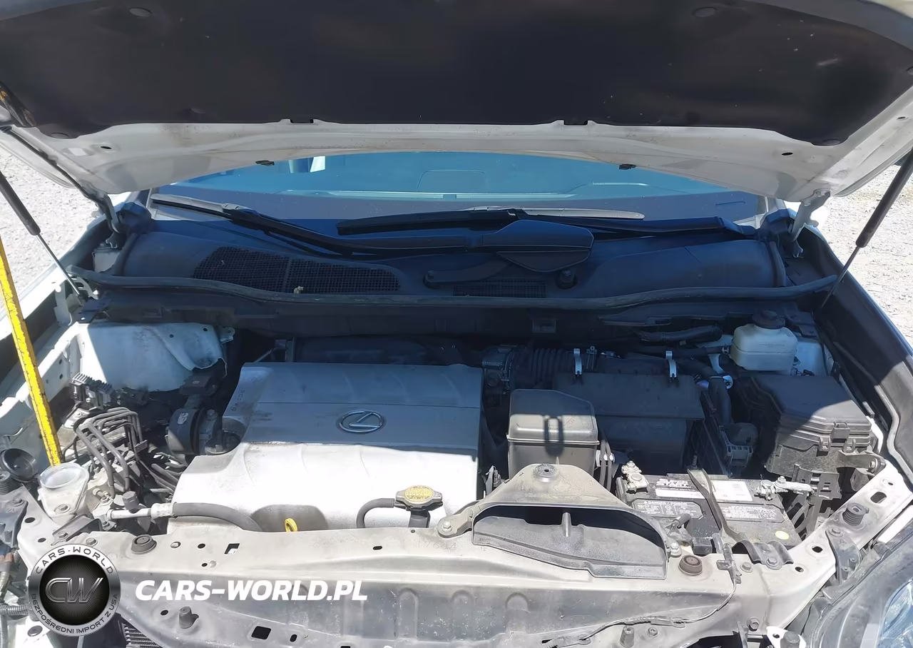 2012 Lexus Rx 350 VIN:2T2BK1BA1CC142166 - 10
