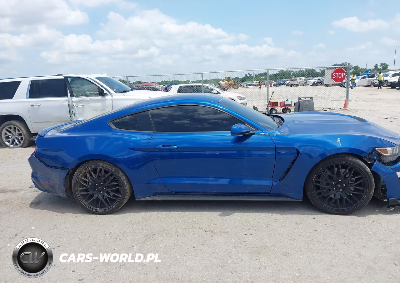 2017 Ford Mustang Gt-Gt Premium VIN:1FA6P8CF4H5293846 - 13