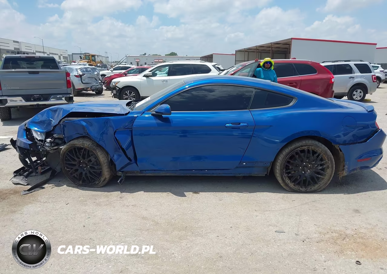 2017 Ford Mustang Gt-Gt Premium VIN:1FA6P8CF4H5293846 - 14