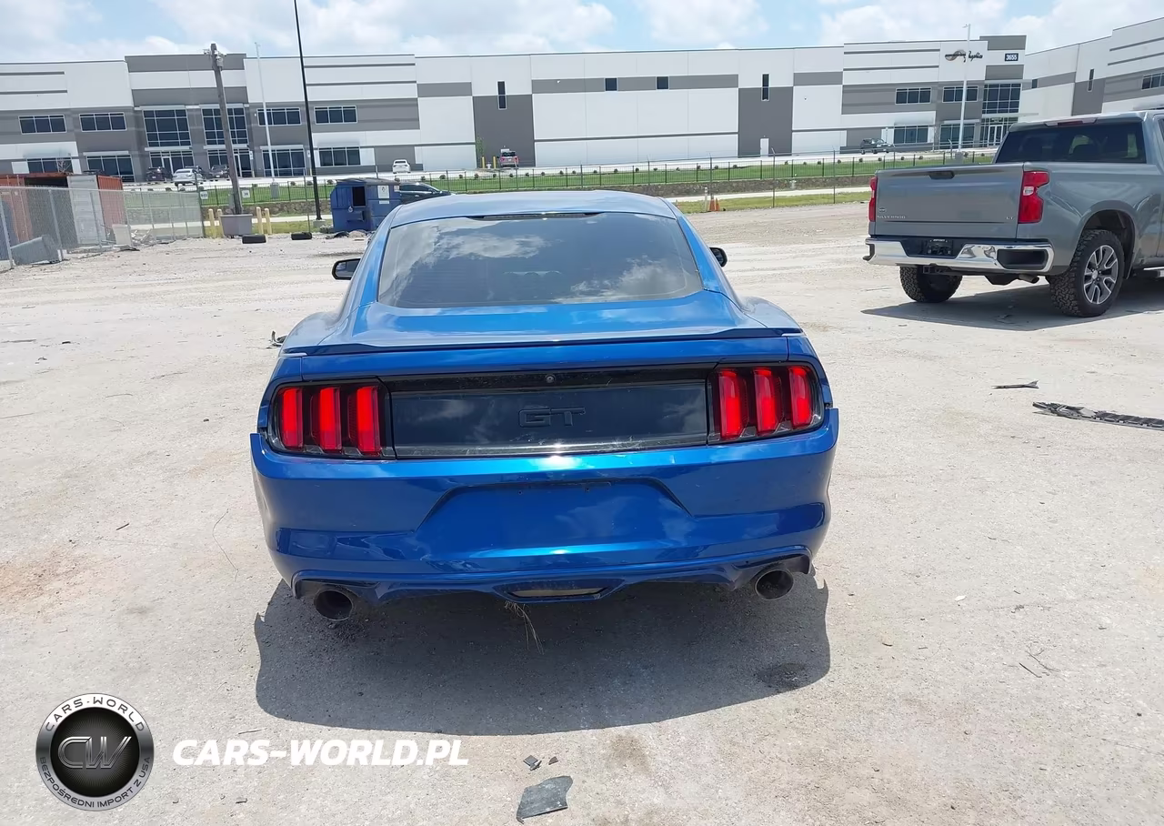 2017 Ford Mustang Gt-Gt Premium VIN:1FA6P8CF4H5293846 - 16