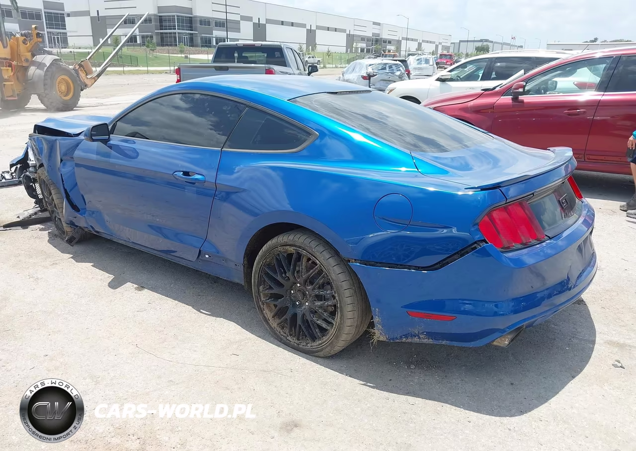 2017 Ford Mustang Gt-Gt Premium VIN:1FA6P8CF4H5293846 - 3
