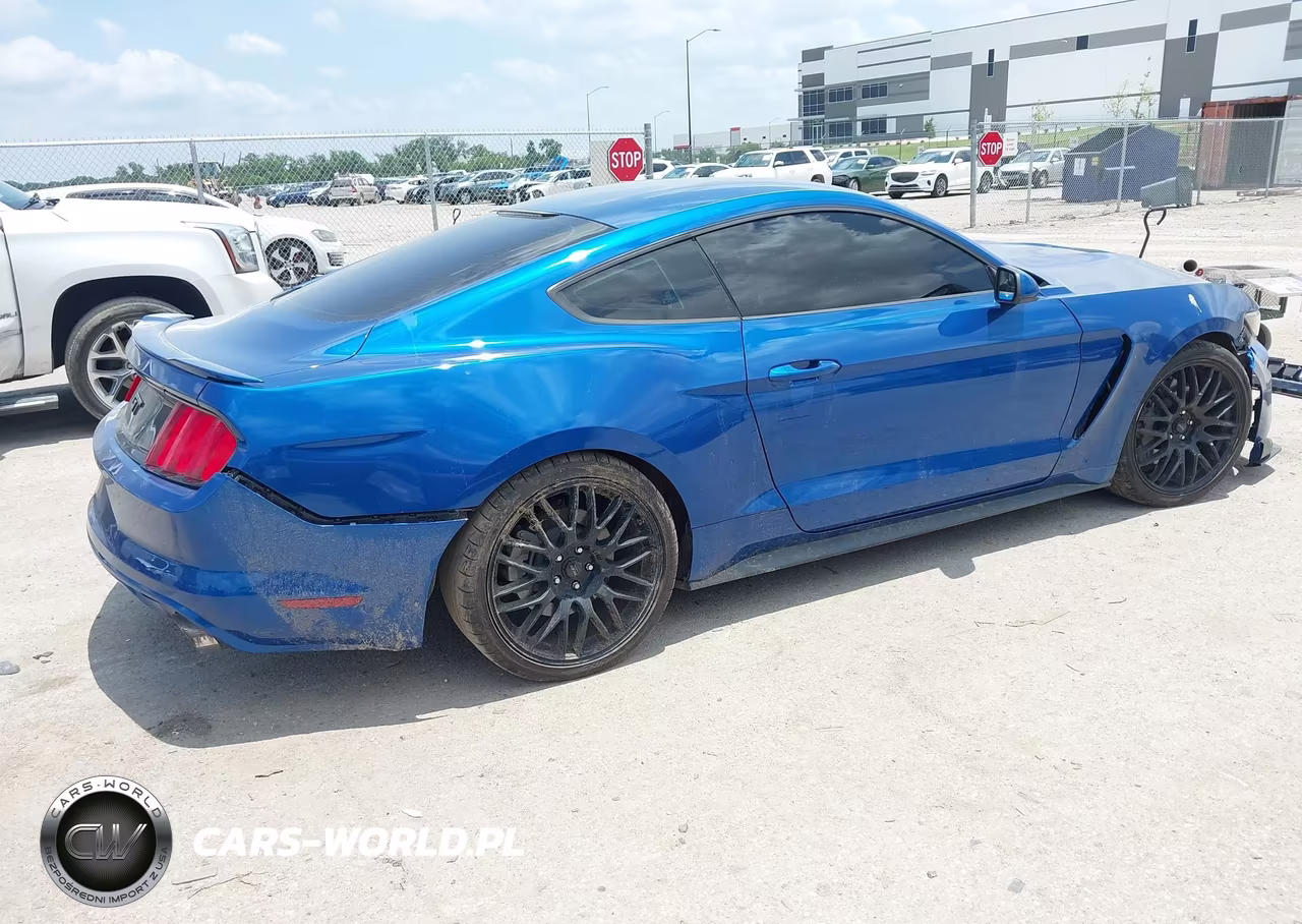 2017 Ford Mustang Gt-Gt Premium VIN:1FA6P8CF4H5293846 - 4
