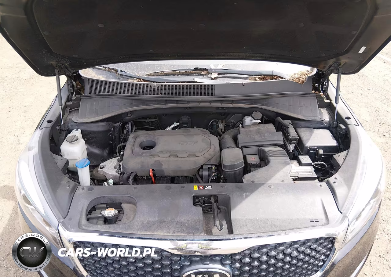 2017 Kia Sorento 2.4L Lx VIN:5XYPGDA32HG256107 - 10