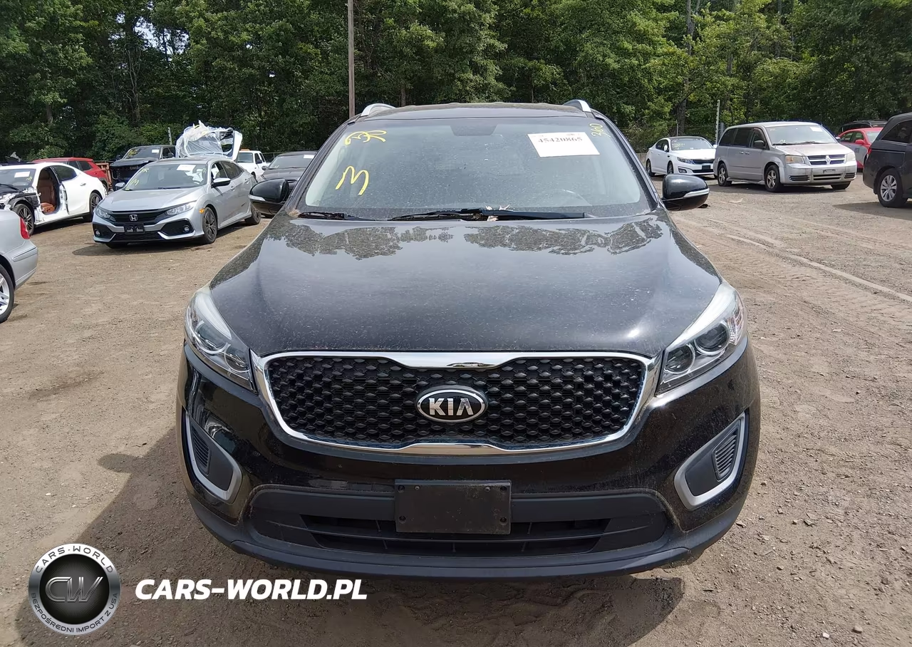 2017 Kia Sorento 2.4L Lx VIN:5XYPGDA32HG256107 - 12