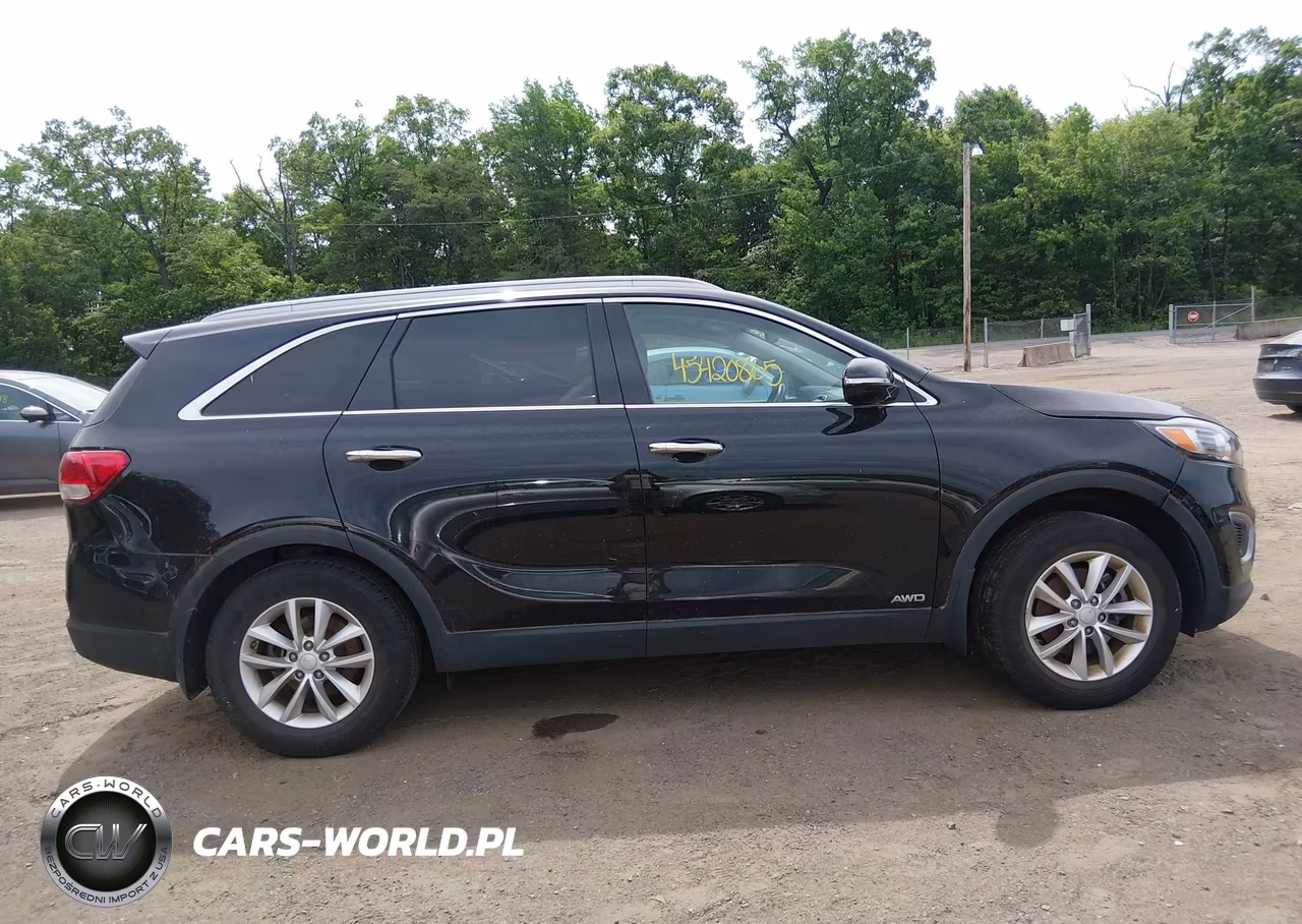 2017 Kia Sorento 2.4L Lx VIN:5XYPGDA32HG256107 - 13
