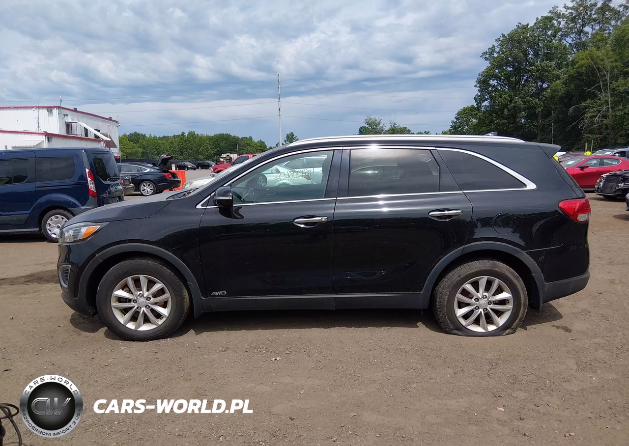 2017 Kia Sorento 2.4L Lx VIN:5XYPGDA32HG256107 - 14