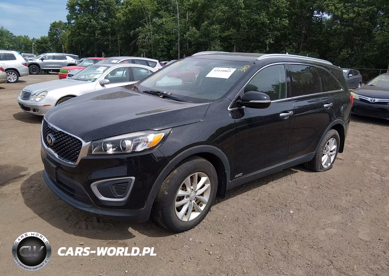 2017 Kia Sorento 2.4L Lx VIN:5XYPGDA32HG256107 - 2