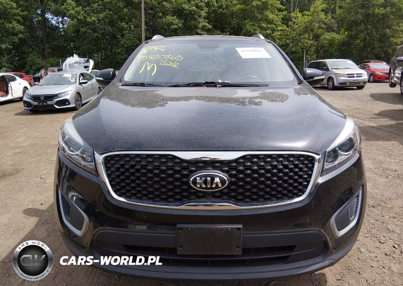 2017 Kia Sorento 2.4L Lx VIN:5XYPGDA32HG256107 - 6