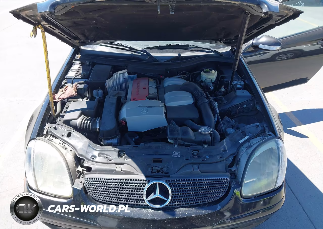 2002 Mercedes-Benz Slk 230 Kompressor VIN:WDBKK49F32F238036 - 10