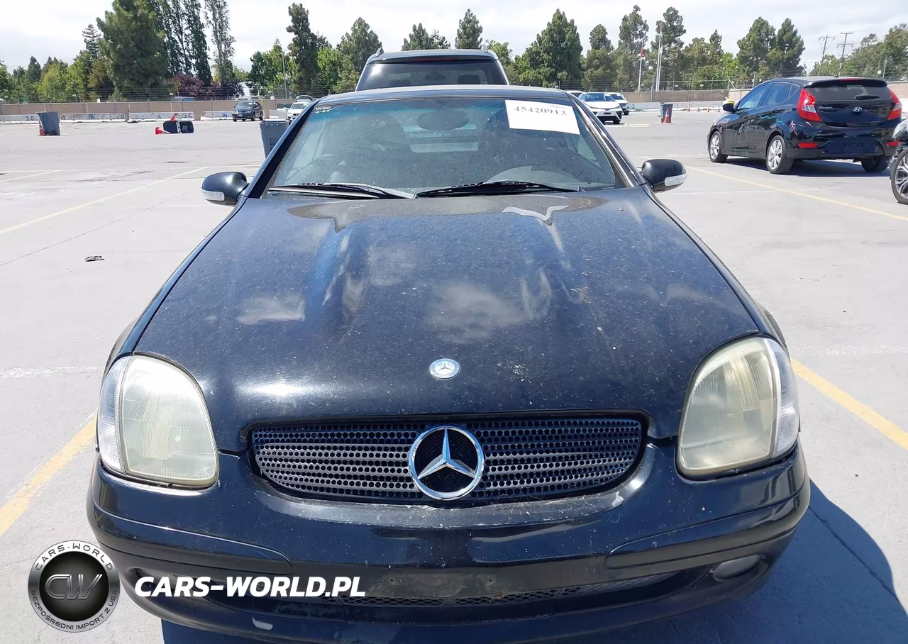 2002 Mercedes-Benz Slk 230 Kompressor VIN:WDBKK49F32F238036 - 12