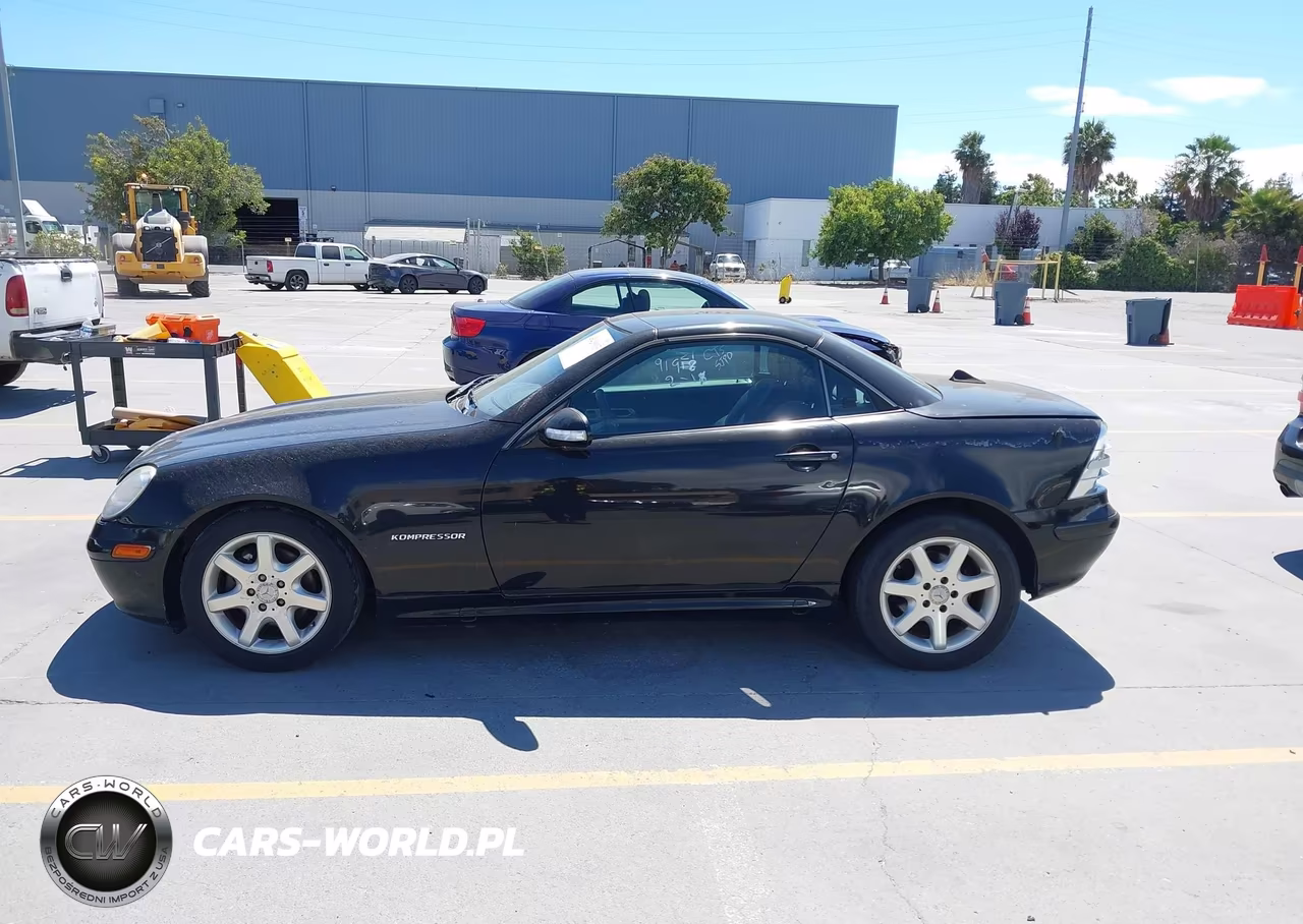 2002 Mercedes-Benz Slk 230 Kompressor VIN:WDBKK49F32F238036 - 14