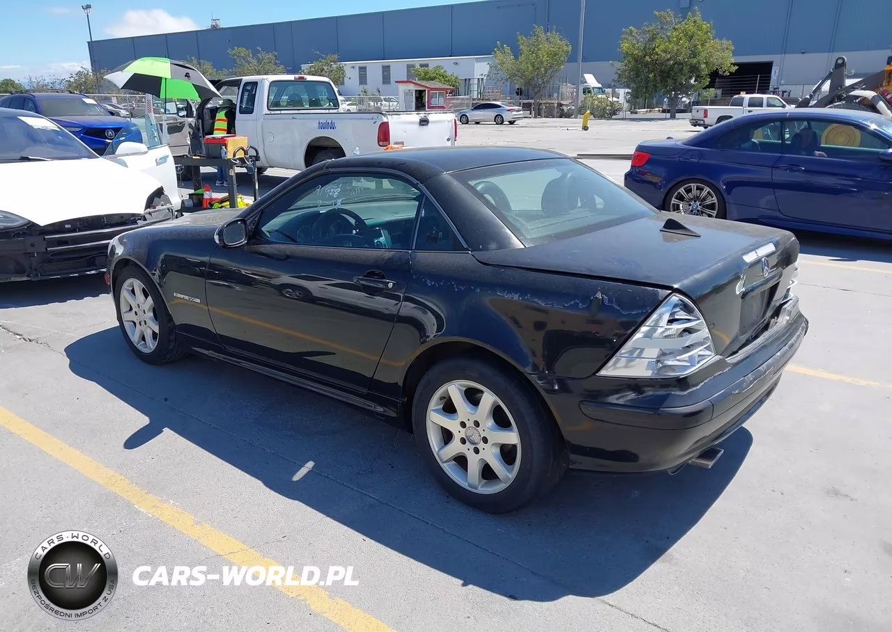 2002 Mercedes-Benz Slk 230 Kompressor VIN:WDBKK49F32F238036 - 3