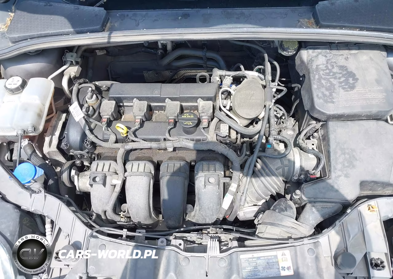 2013 Ford Focus Se VIN:1FADP3F26DL338164 - 10