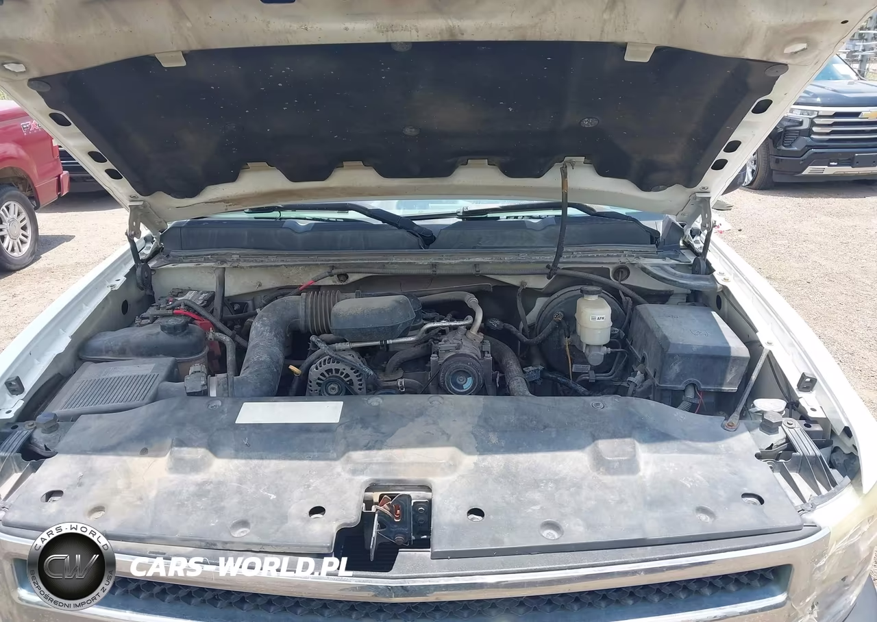 2010 Chevrolet Silverado 1500 Work Truck VIN:1GCSCPEX3AZ245564 - 10