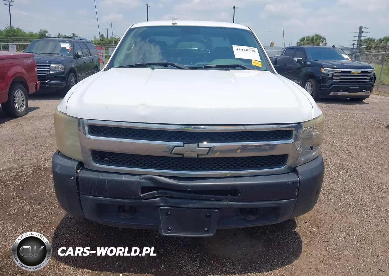 2010 Chevrolet Silverado 1500 Work Truck VIN:1GCSCPEX3AZ245564 - 12