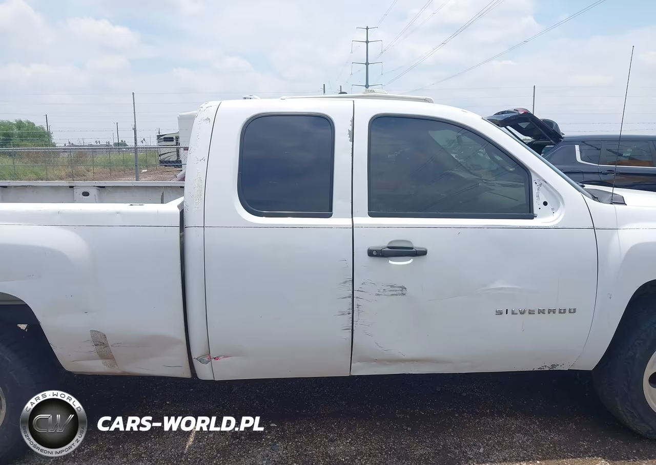 2010 Chevrolet Silverado 1500 Work Truck VIN:1GCSCPEX3AZ245564 - 13