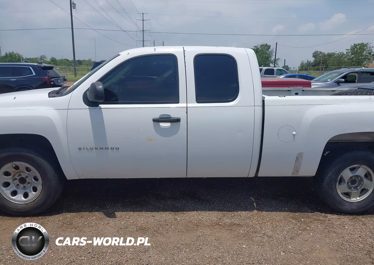 2010 Chevrolet Silverado 1500 Work Truck VIN:1GCSCPEX3AZ245564 - 14