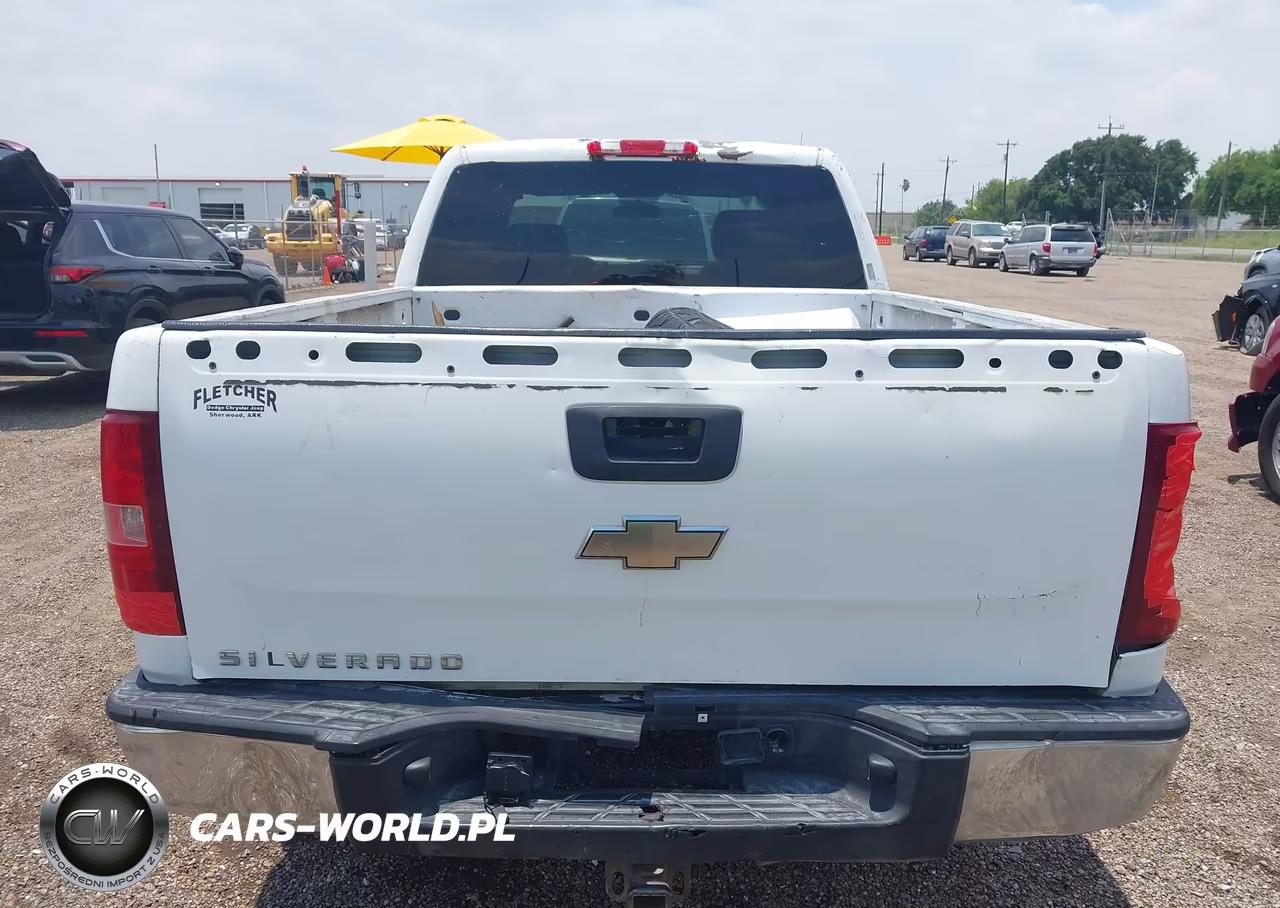 2010 Chevrolet Silverado 1500 Work Truck VIN:1GCSCPEX3AZ245564 - 16