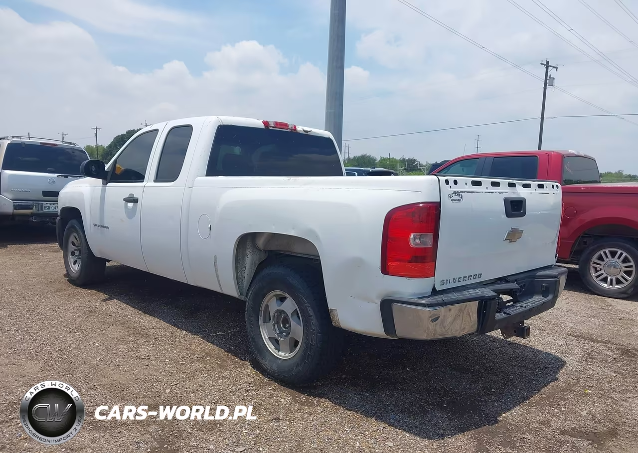 2010 Chevrolet Silverado 1500 Work Truck VIN:1GCSCPEX3AZ245564 - 3