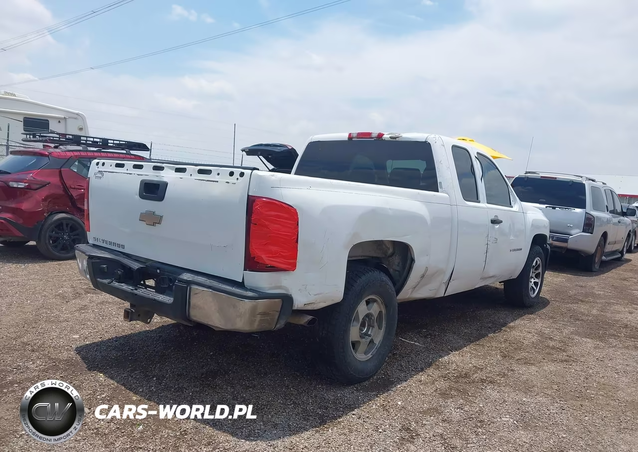 2010 Chevrolet Silverado 1500 Work Truck VIN:1GCSCPEX3AZ245564 - 4