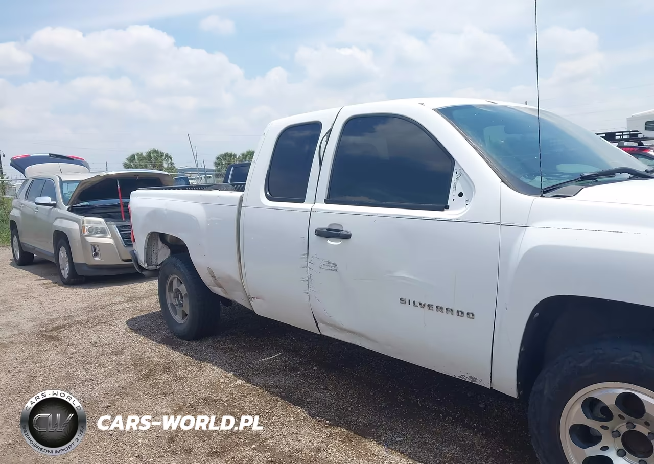 2010 Chevrolet Silverado 1500 Work Truck VIN:1GCSCPEX3AZ245564 - 6