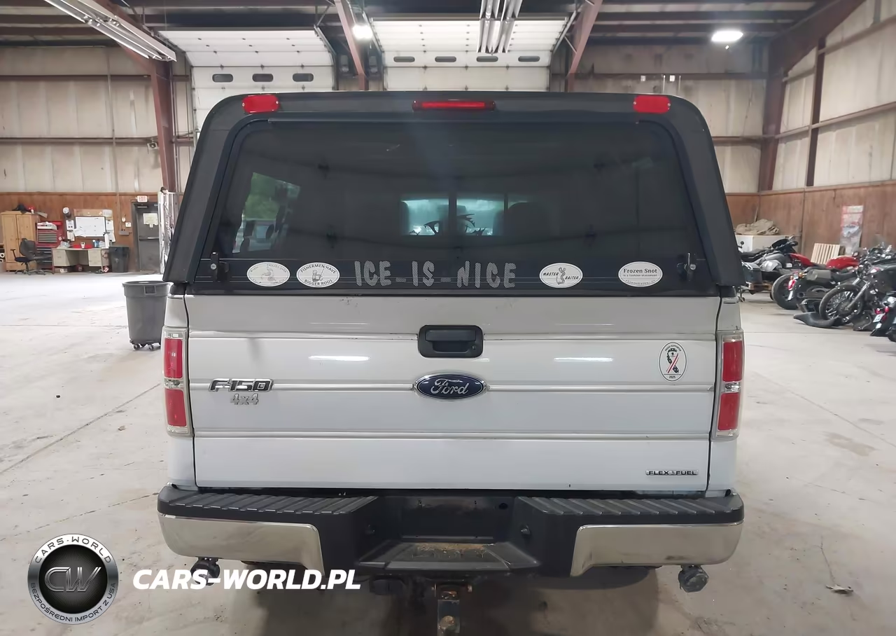 2013 Ford F-150 Fx4-Lariat-Stx-Xl-Xlt VIN:1FTFX1EF9DFC38120 - 16