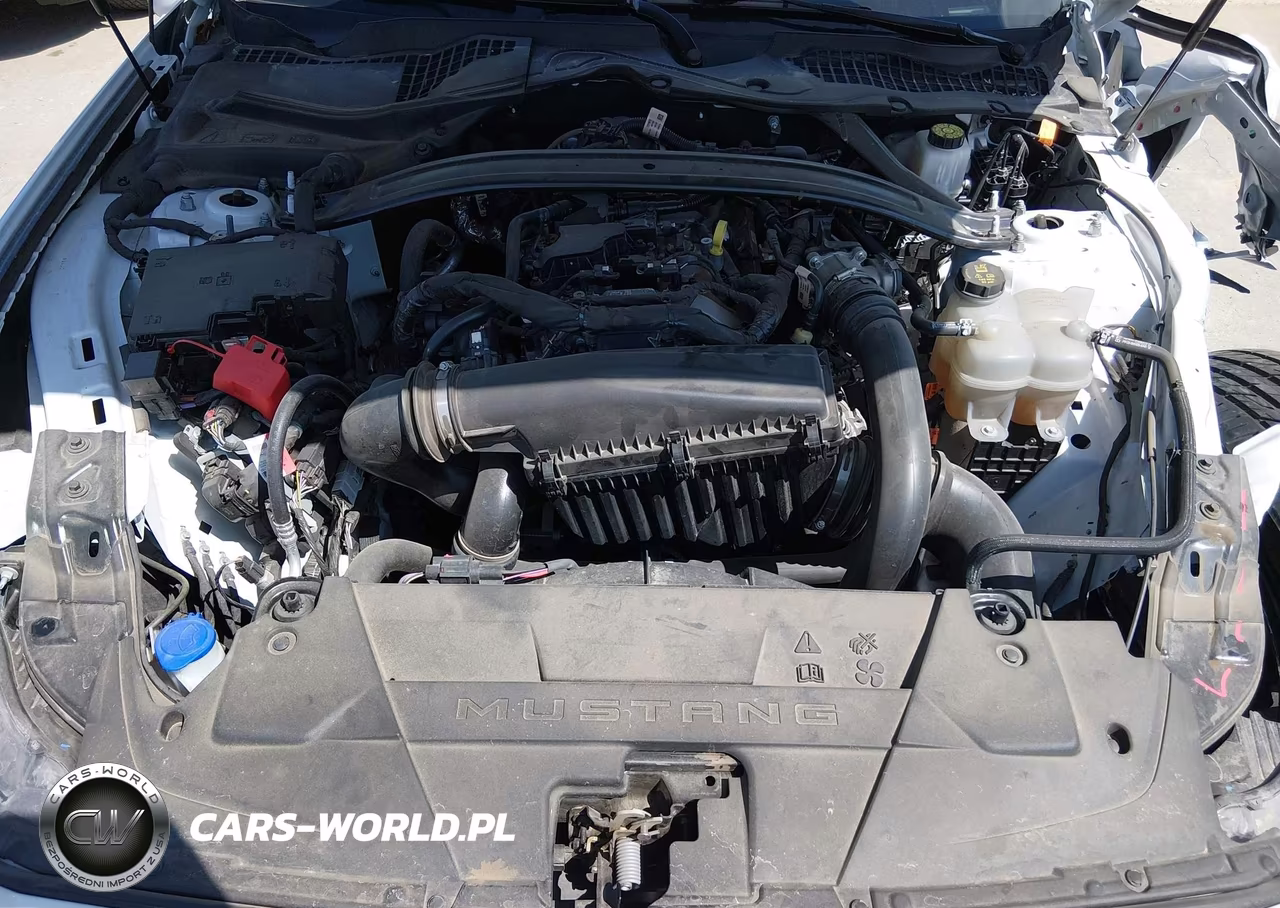 2025 Ford Mustang Ecoboost -Ecoboost Premium VIN:1FAGP8UH6S5108515 - 10
