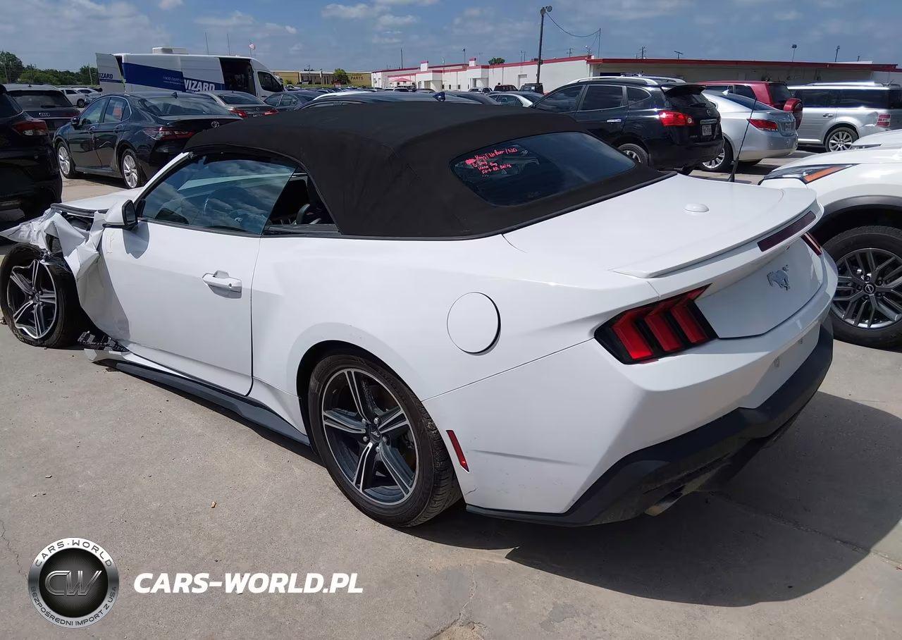 2025 Ford Mustang Ecoboost -Ecoboost Premium VIN:1FAGP8UH6S5108515 - 3