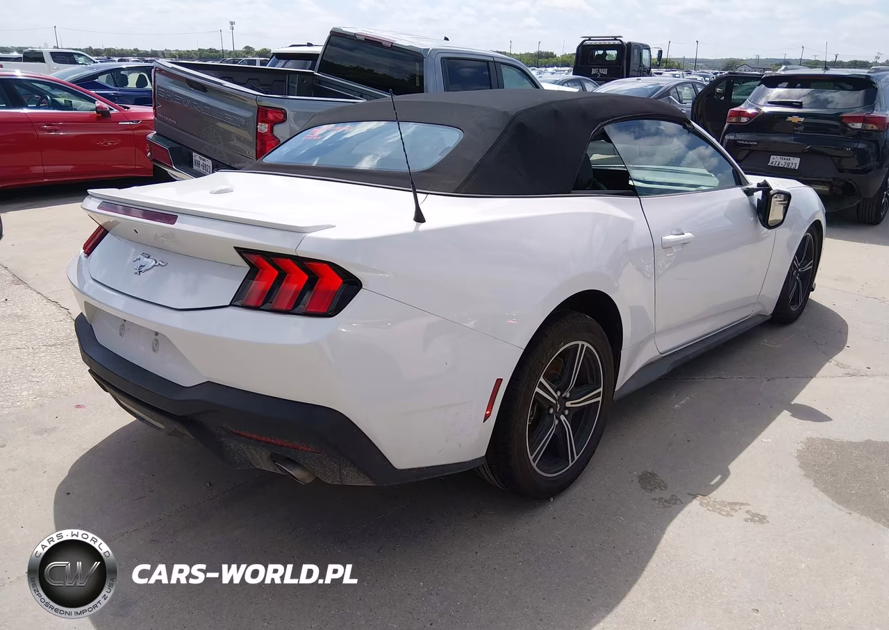 2025 Ford Mustang Ecoboost -Ecoboost Premium VIN:1FAGP8UH6S5108515 - 4