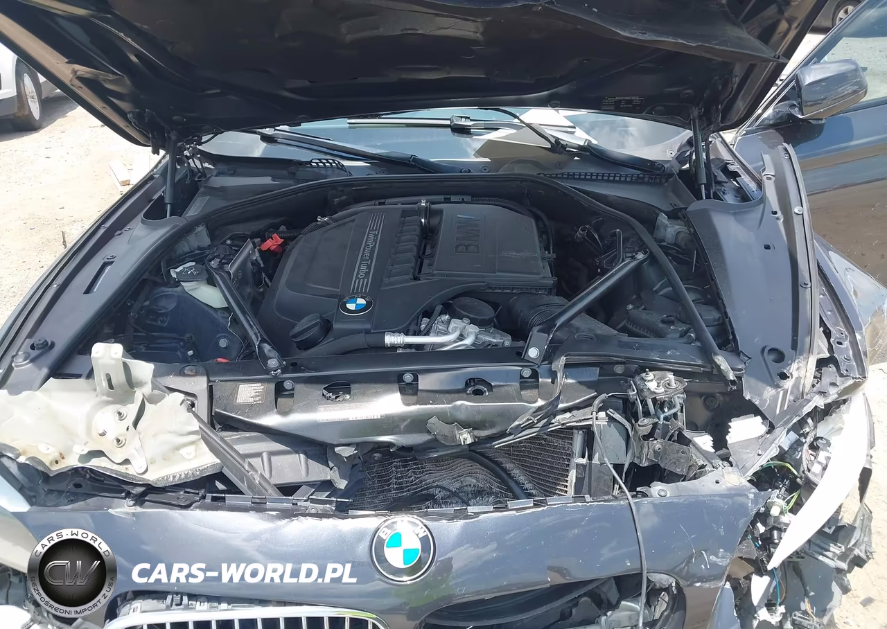 2013 BMW 535I VIN:WBAFR7C54DC823175 - 10