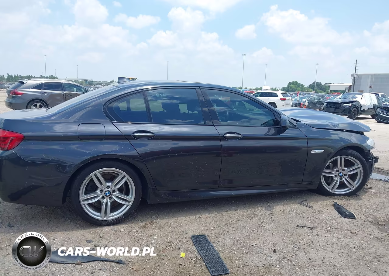 2013 BMW 535I VIN:WBAFR7C54DC823175 - 14