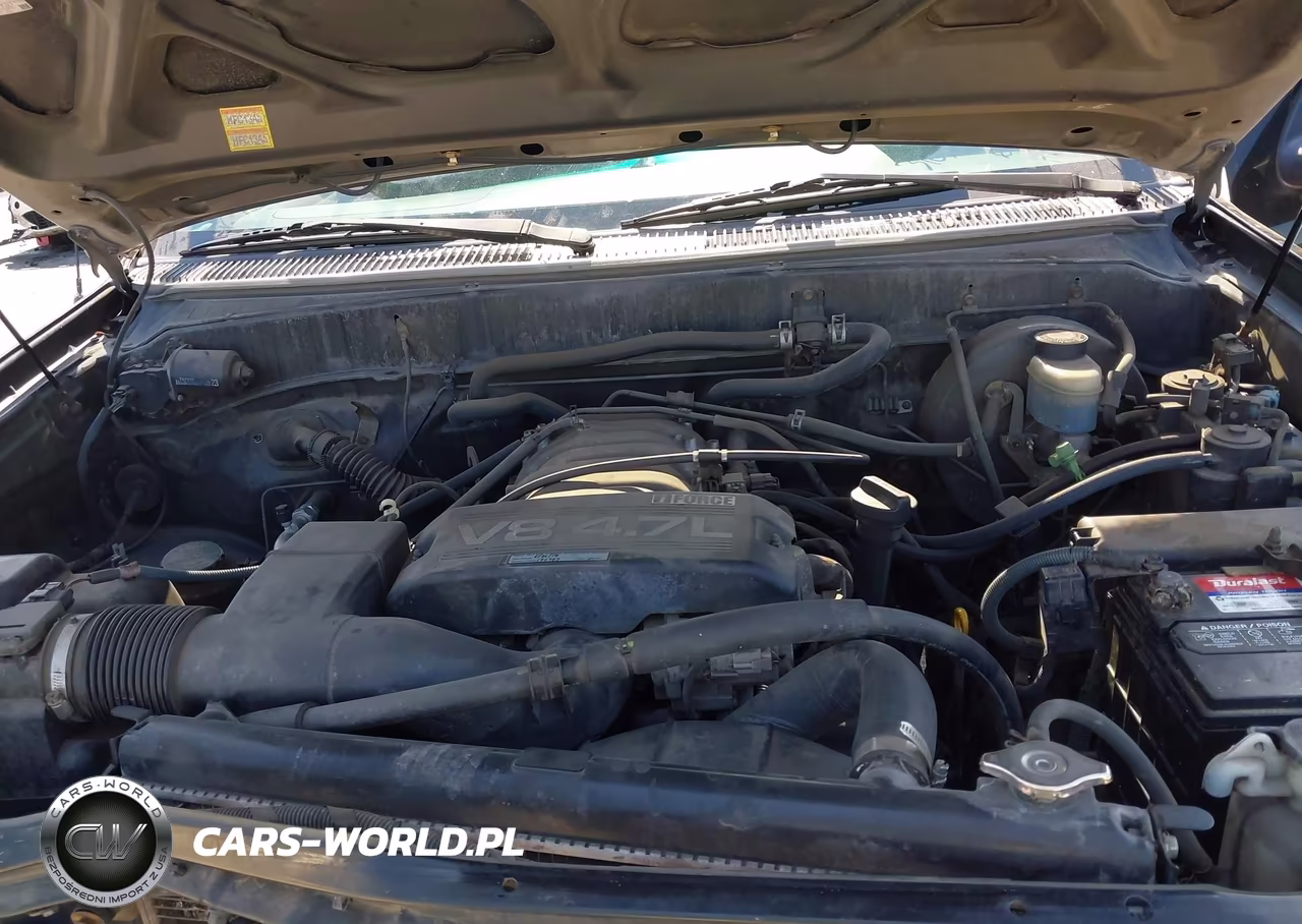 2002 Toyota Tundra Sr5 V8 VIN:5TBRT34162S223509 - 10