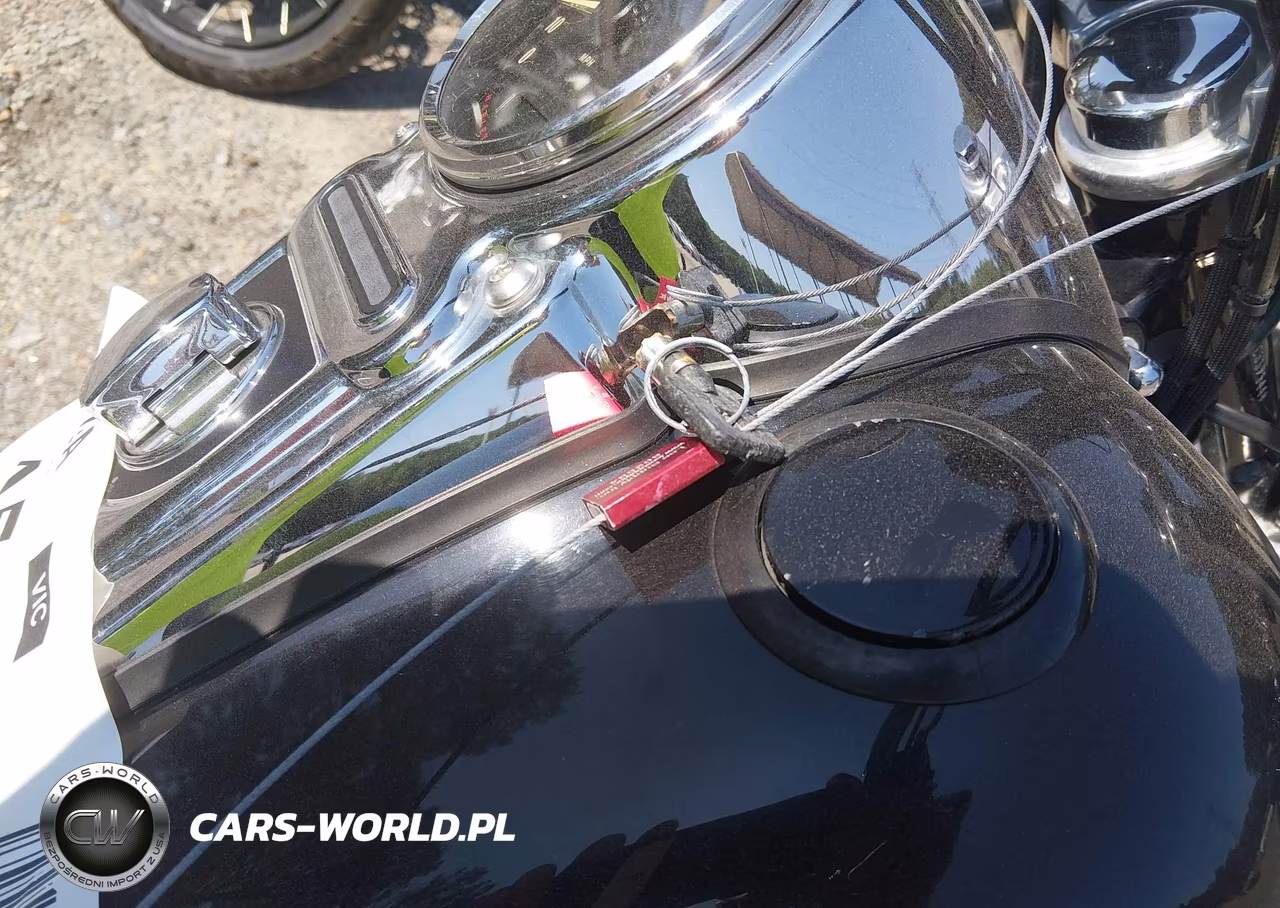 2012 Harley-Davidson Fxdf Dyna Fat Bob VIN:1HD1GYM10CC339344 - 11