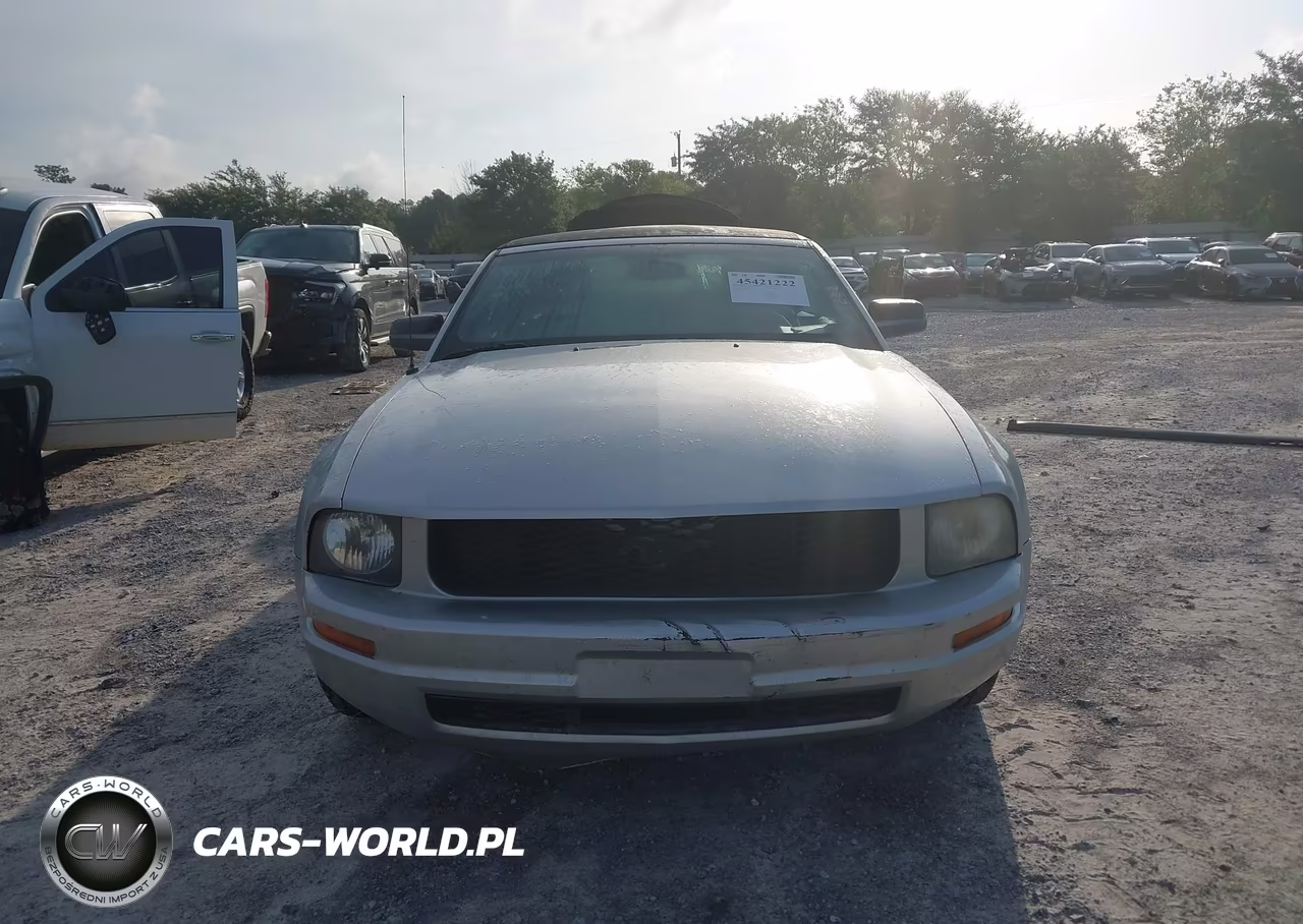 2009 Ford Mustang V6-V6 Premium VIN:1ZVHT84N695122311 - 13