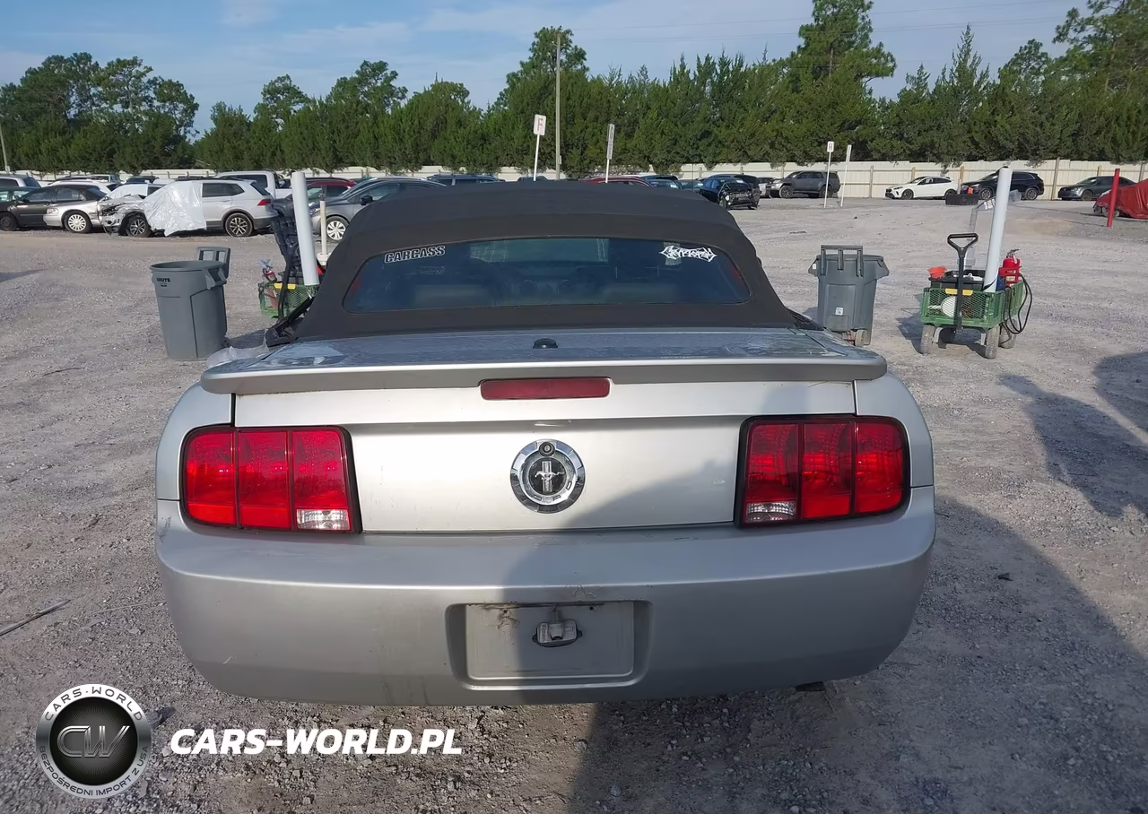 2009 Ford Mustang V6-V6 Premium VIN:1ZVHT84N695122311 - 17