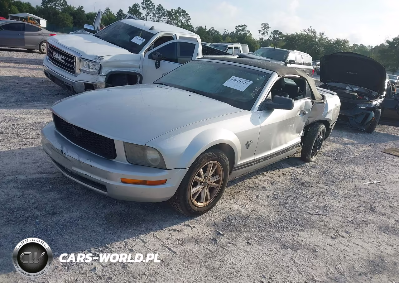 2009 Ford Mustang V6-V6 Premium VIN:1ZVHT84N695122311 - 2