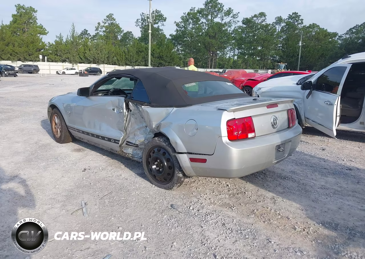 2009 Ford Mustang V6-V6 Premium VIN:1ZVHT84N695122311 - 3