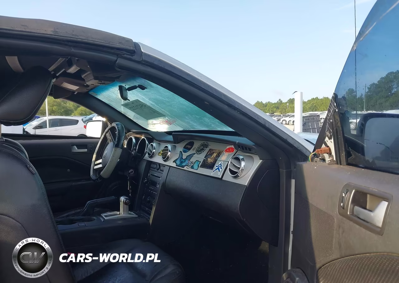 2009 Ford Mustang V6-V6 Premium VIN:1ZVHT84N695122311 - 5