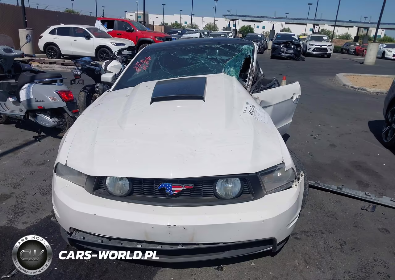 2010 Ford Mustang Gt-Gt Premium VIN:1ZVBP8CH3A5120929 - 13