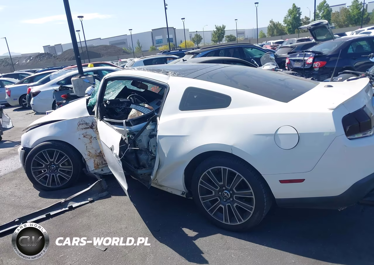 2010 Ford Mustang Gt-Gt Premium VIN:1ZVBP8CH3A5120929 - 15