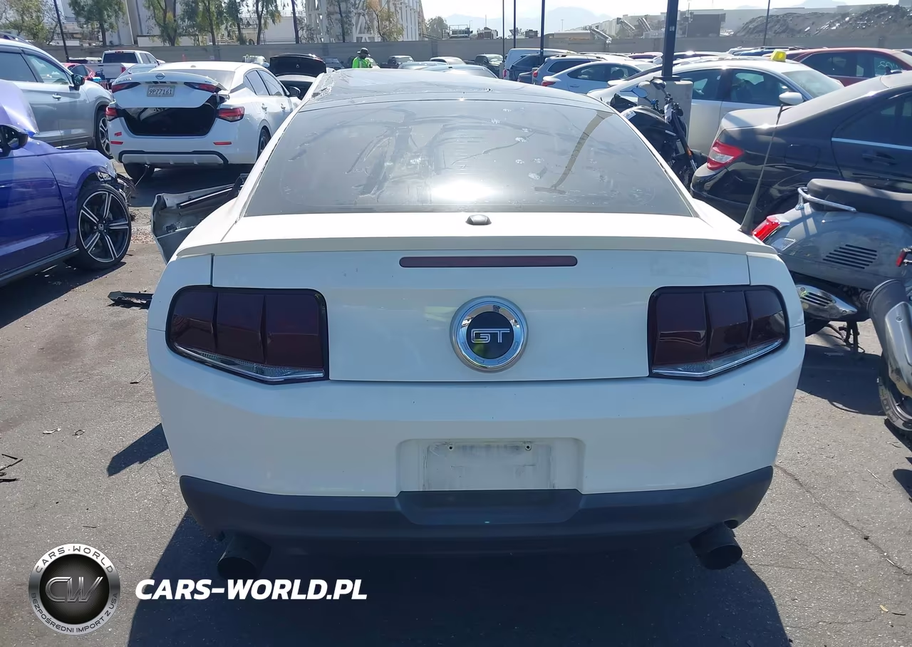 2010 Ford Mustang Gt-Gt Premium VIN:1ZVBP8CH3A5120929 - 17