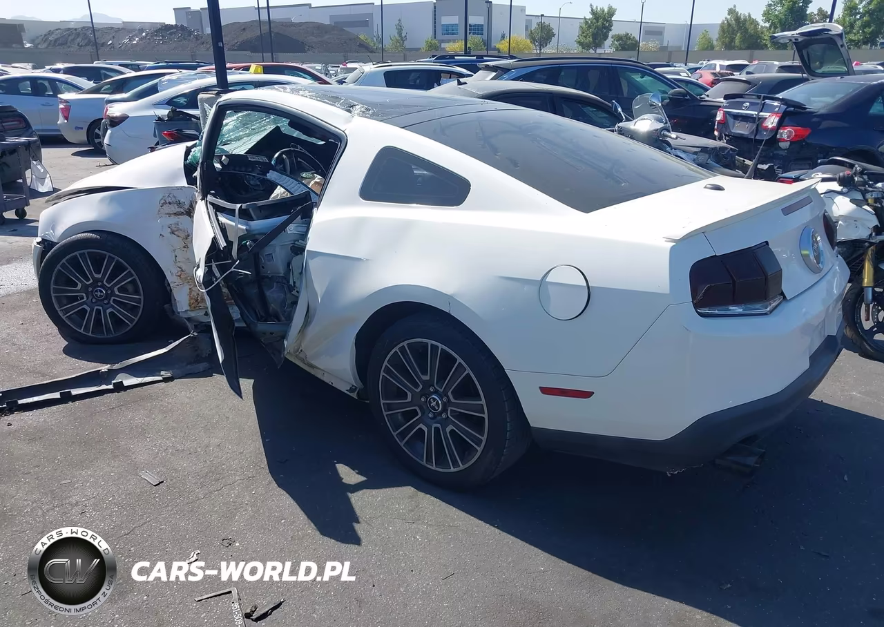 2010 Ford Mustang Gt-Gt Premium VIN:1ZVBP8CH3A5120929 - 3