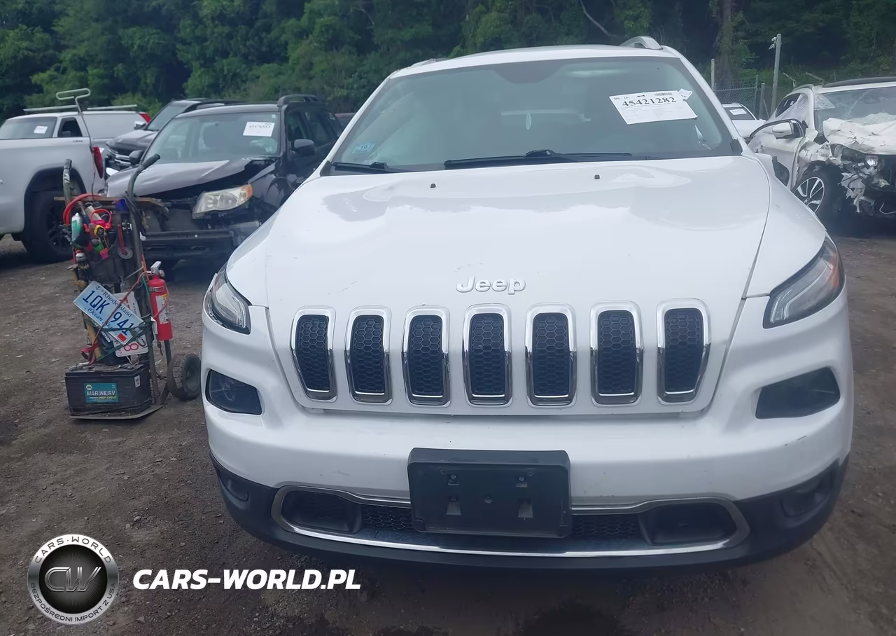 2016 Jeep Cherokee Limited VIN:1C4PJMDB9GW244994 - 12