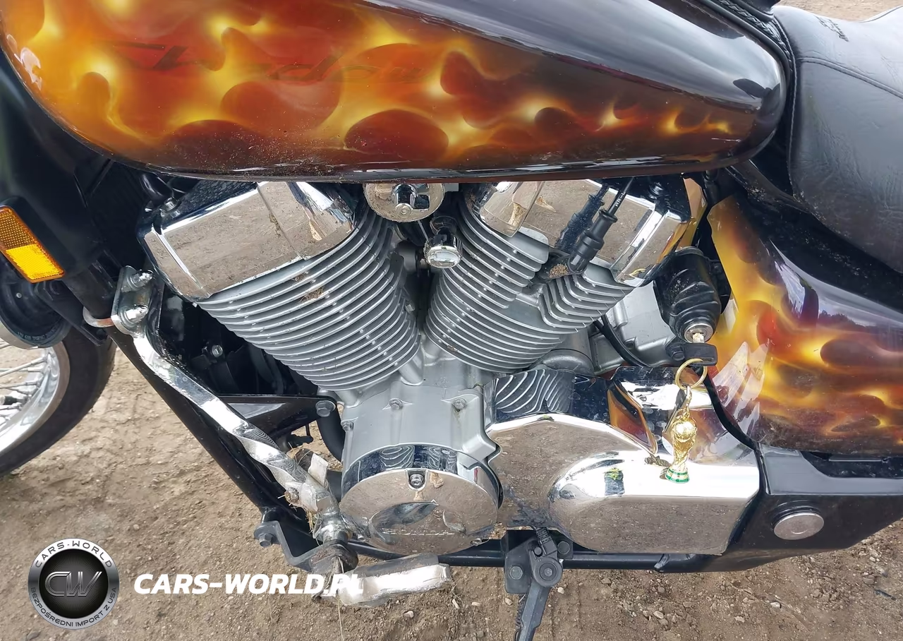 2007 Honda Vt750 C2 VIN:JH2RC530X7M001304 - 9