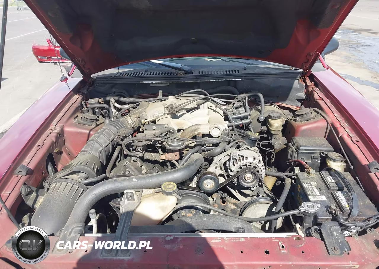 2002 Ford Mustang Deluxe-Premium VIN:1FAFP40472F167865 - 10